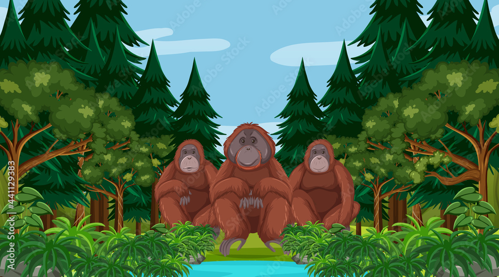 猩猩在森林或雨林中，有很多树