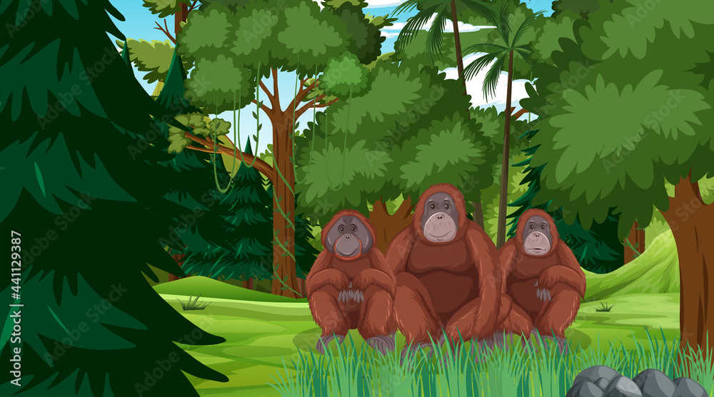 森林或雨林中有许多树木的猩猩