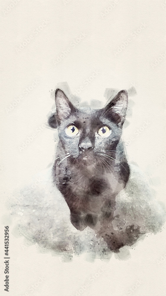 泰国地上的黑猫。水彩画风格。