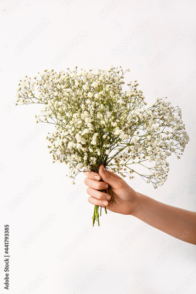 白色背景上开着漂亮的吉普赛花的雌手