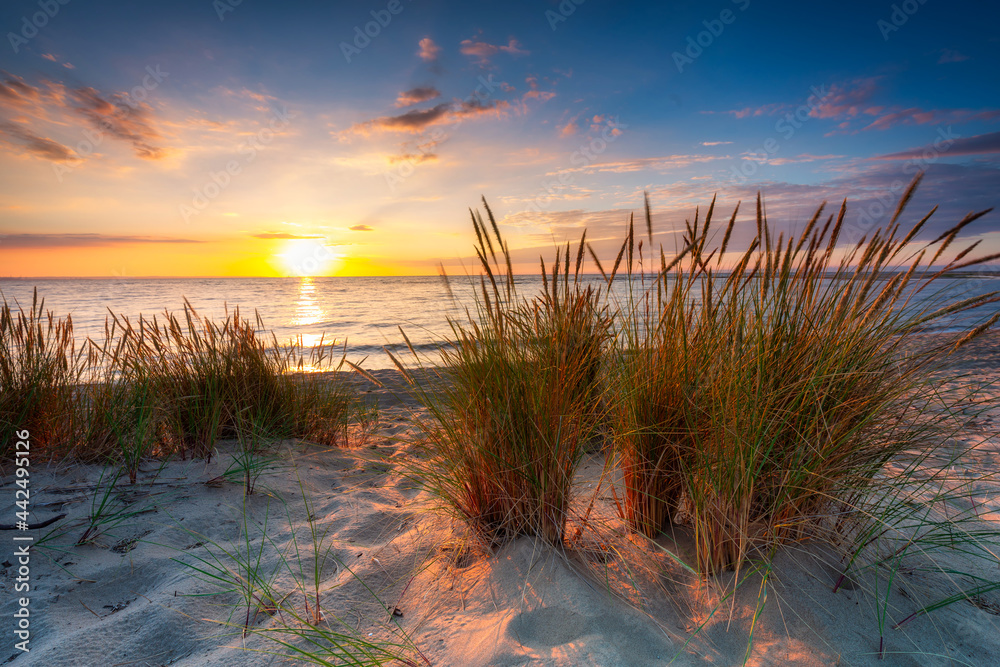 波罗的海索比舍沃岛海滩上美丽的日落。波兰
