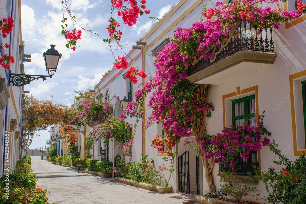 西班牙加那利岛莫干港镇的美丽街道