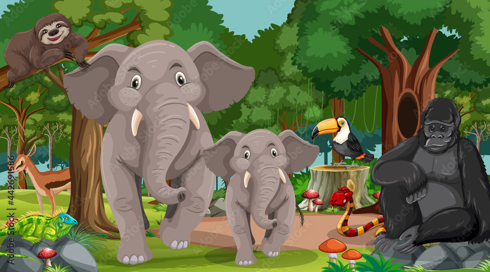 森林场景中大象家族与其他野生动物
