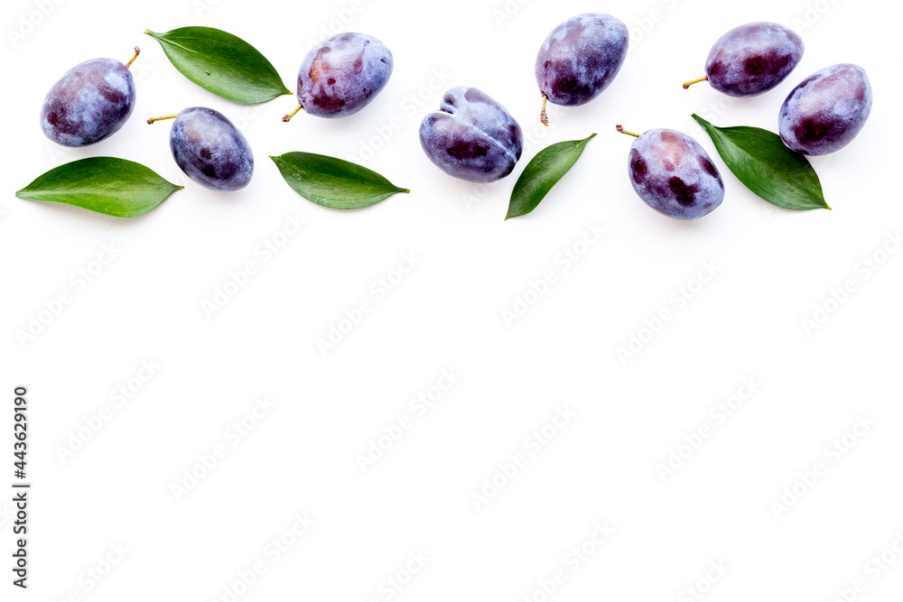 食物图案-一套紫色李子，俯视图