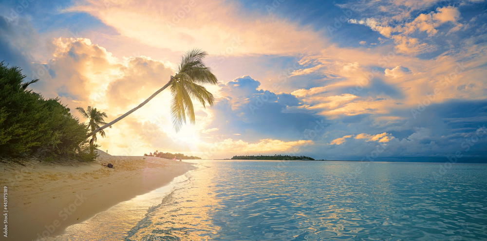 美丽的热带景观-五颜六色的日落，海洋上棕榈树的剪影，马尔德