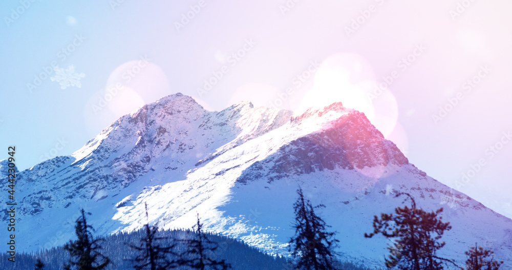 冬季风景景观图片，亮点山和被雪覆盖的冷杉树