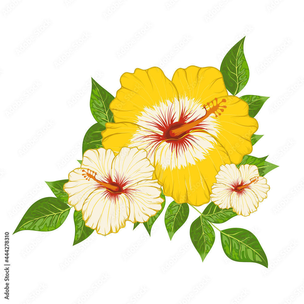 Сomposition of hibiscus flowers and leaves vector illustration
