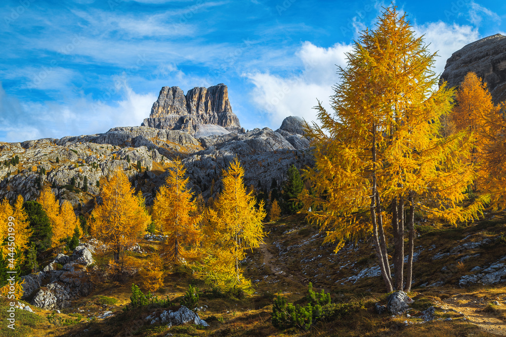 背景是秋天五颜六色的落叶松和山峰，白云石
