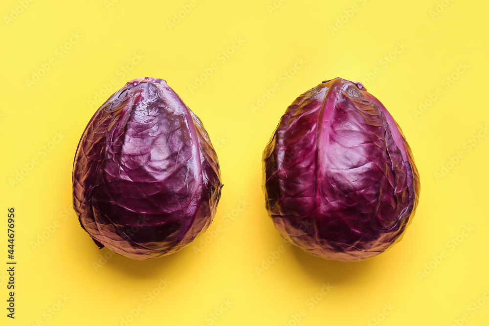 彩色背景上的新鲜紫色卷心菜