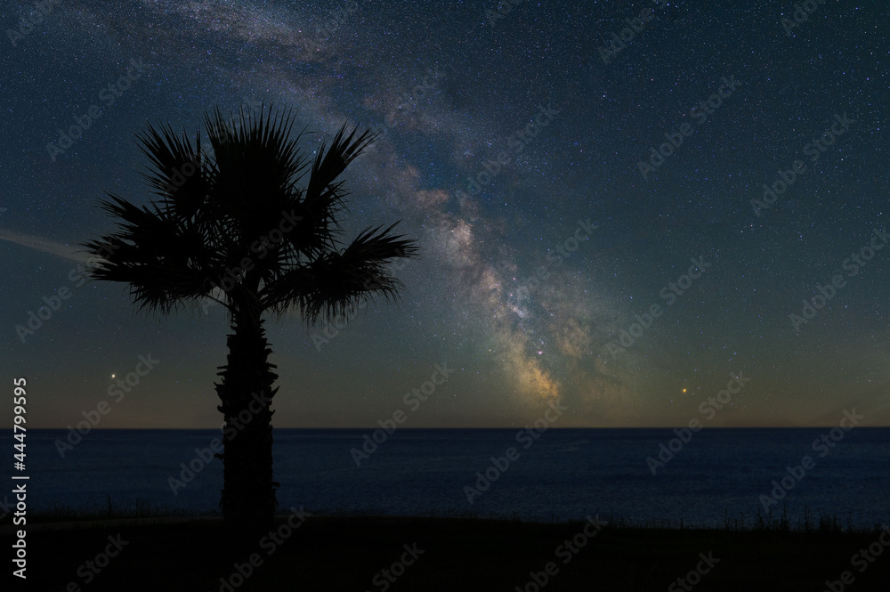 棕榈、海洋和银河系的美丽夜景