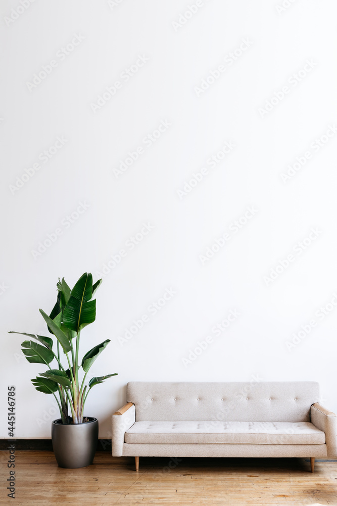 现代米色织物沙发和客厅里的植物