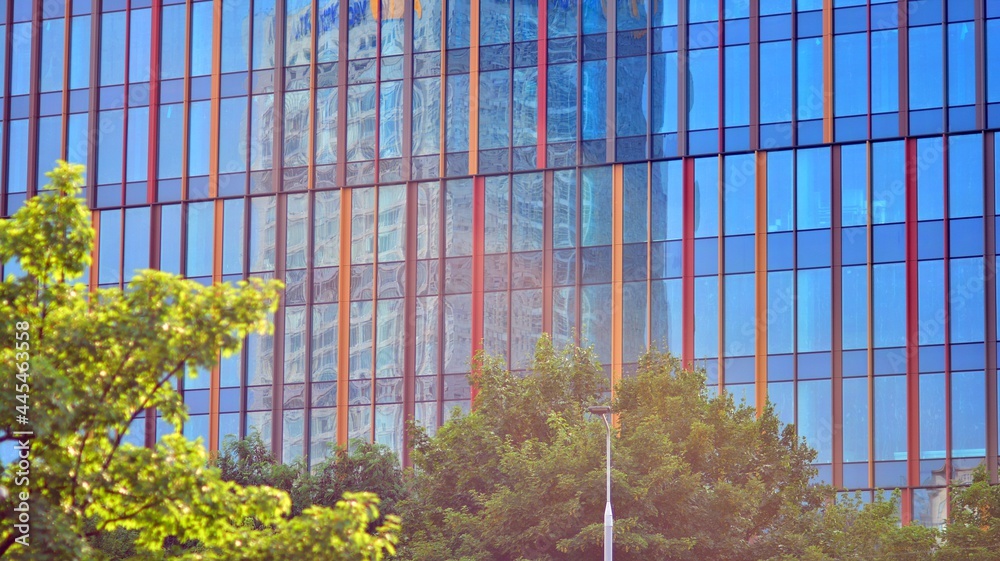 生态建筑。绿树和玻璃办公楼。自然与现代的和谐。反思