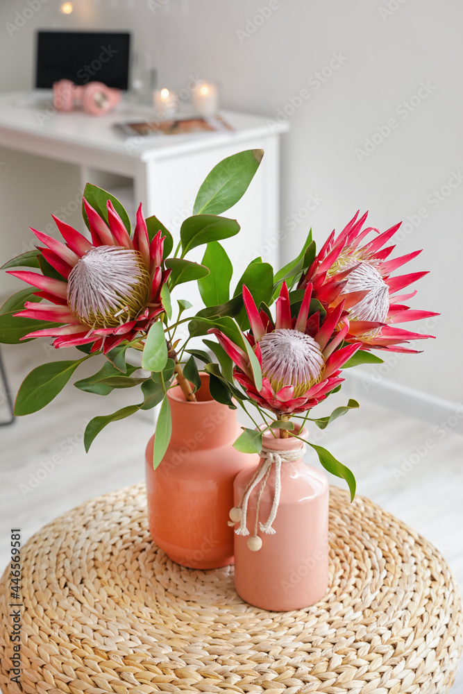 房间内部pouf上的Protea花朵，特写
