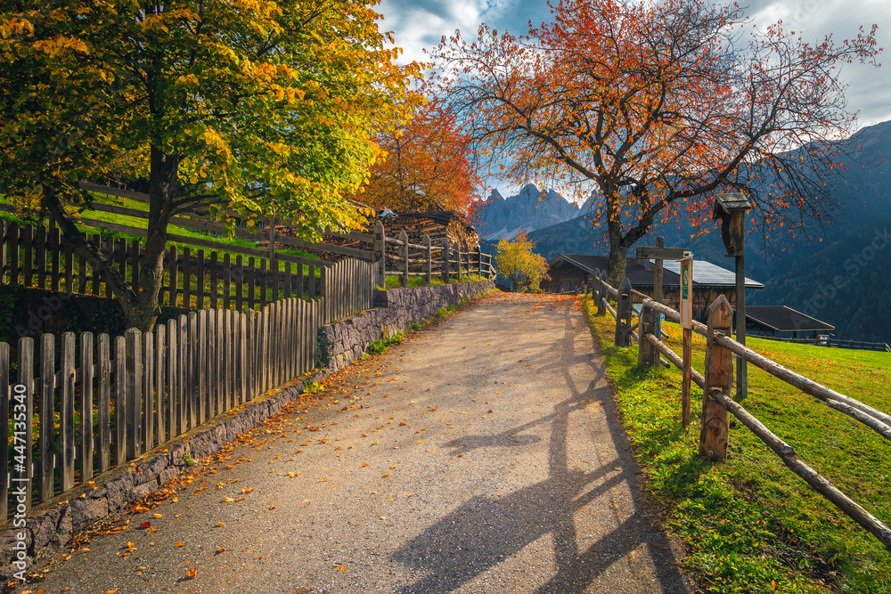 阿尔卑斯山狭窄的乡村道路和白云岩中色彩斑斓的落叶树