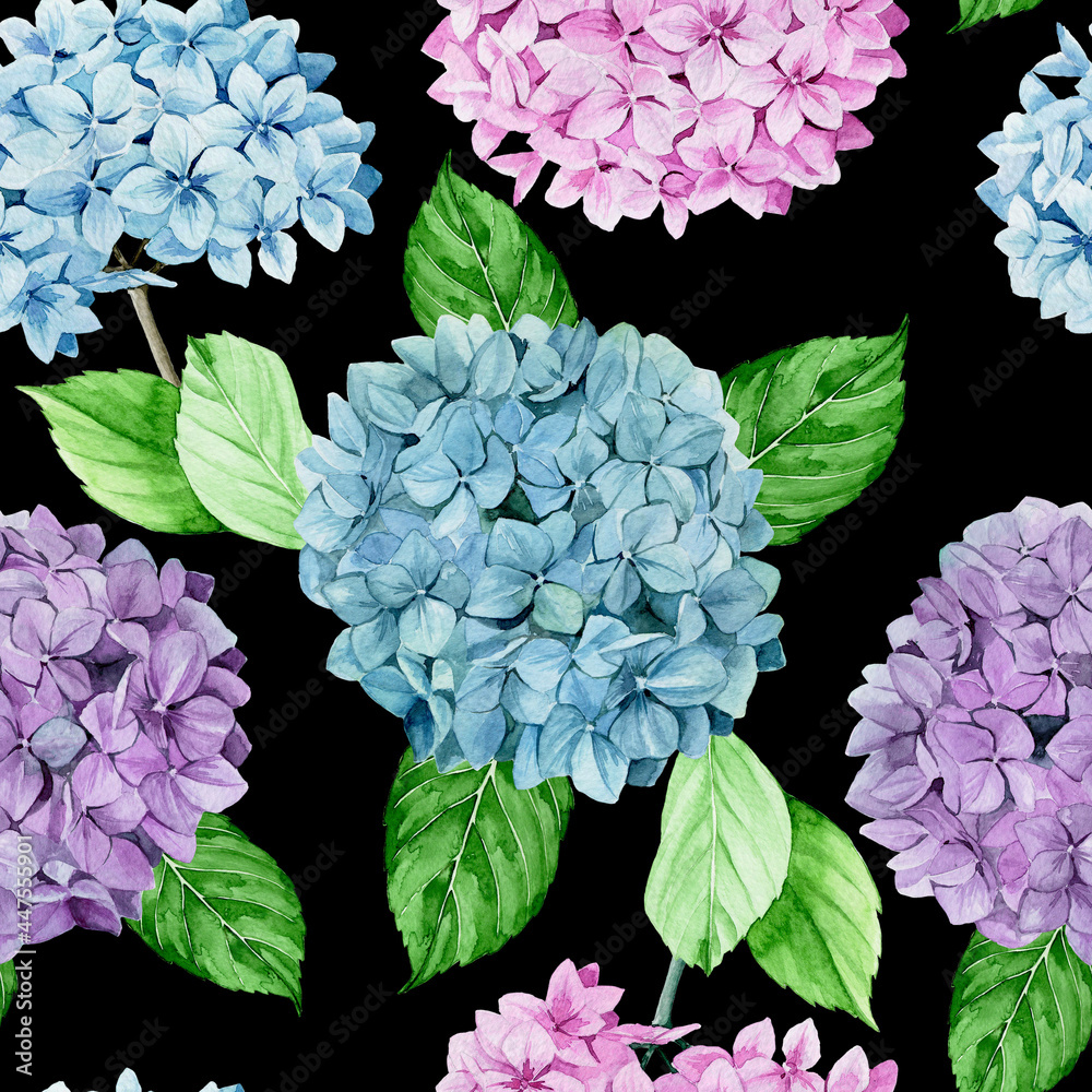 水彩无缝图案。绣球花的花朵和叶子在深色背景上隔离。粉红色，蓝色