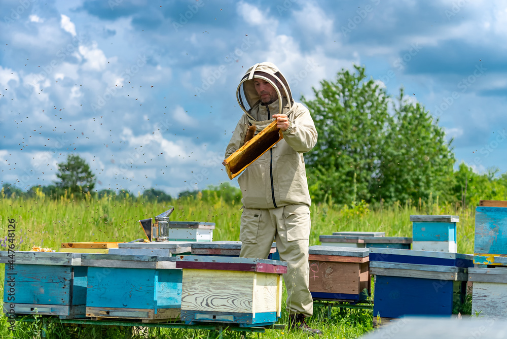 养蜂人在风景上工作的全景，表情自信。农业自然