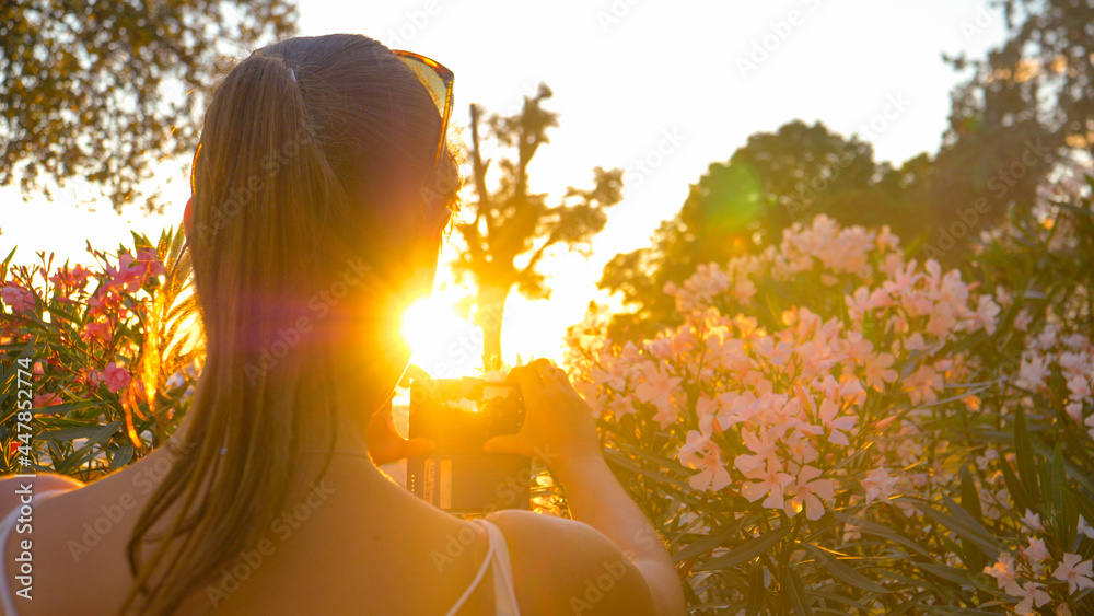 特写：一位女游客正在金色日落下拍摄夹竹桃丛的照片。