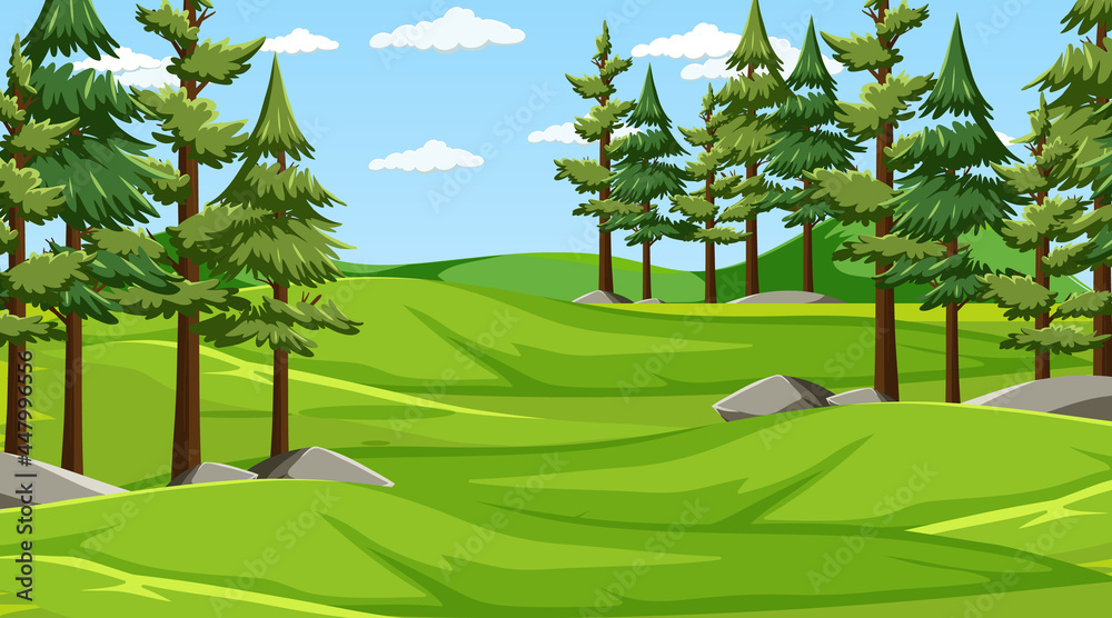 Blank meadow landscape scene with many pine trees