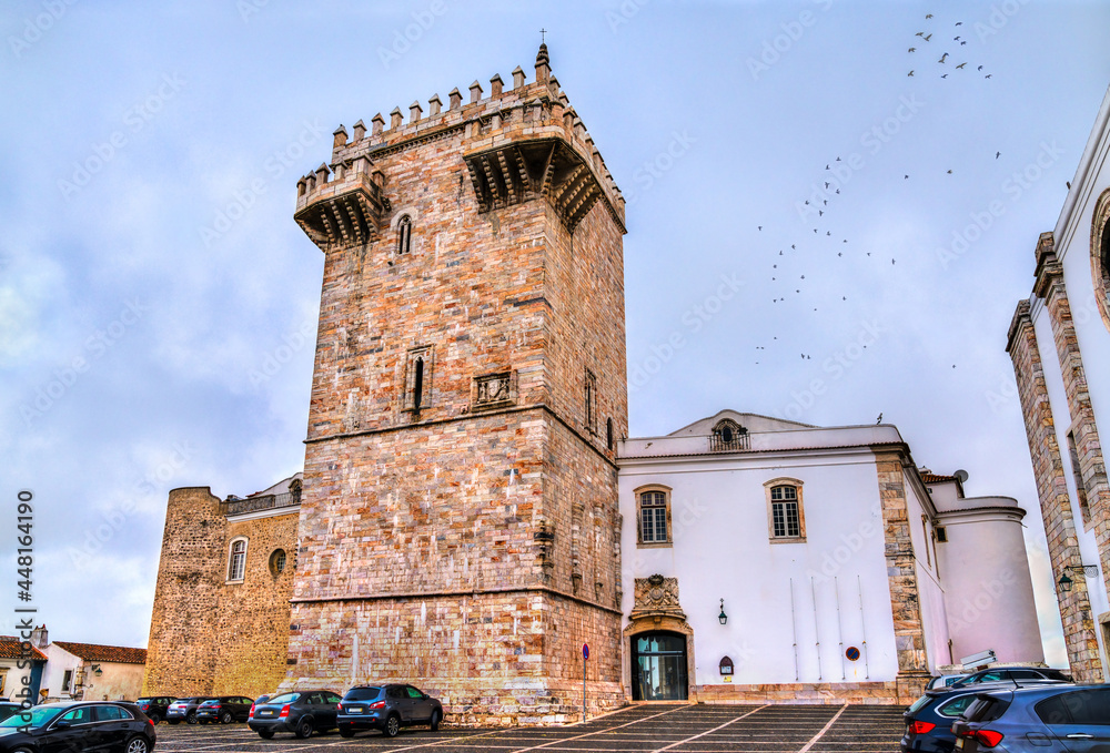葡萄牙的埃斯特雷莫兹城堡
