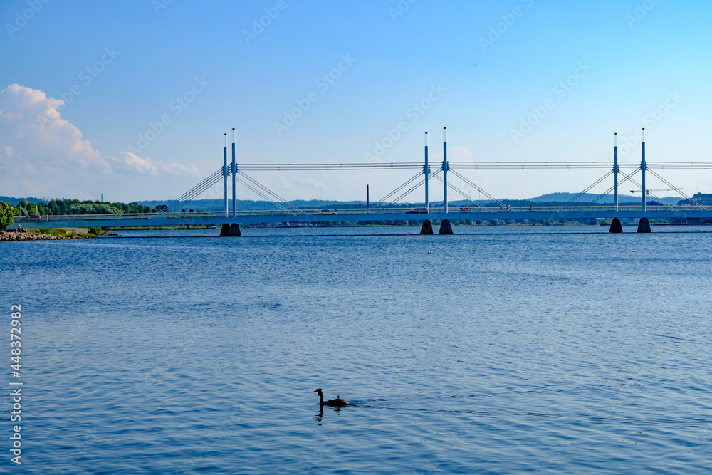 great crested grebe in front of the bay bridge in jönköping, sweden