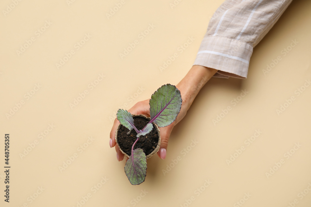 Female hand with plant seedling in peat pot on color background