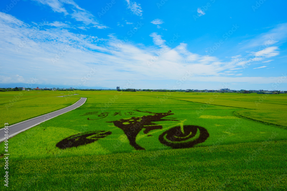 The rice paddy paint art is created by farmers and artists together. Sky is a sunny day. A view of t