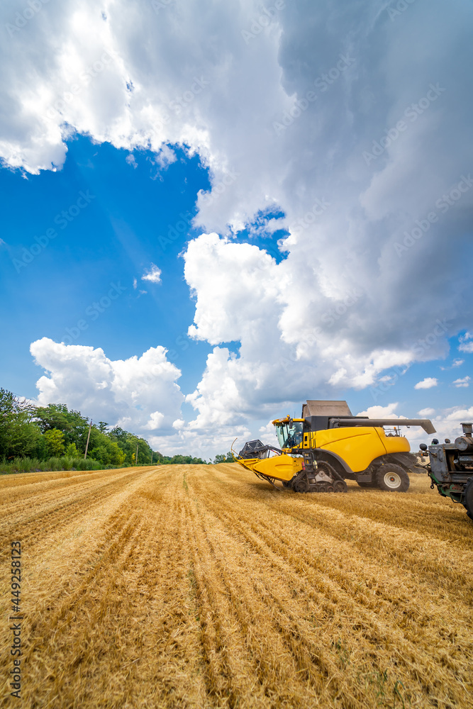 阳光明媚的夏日，收获机联合收割机在农田上收割小麦的垂直视图。F