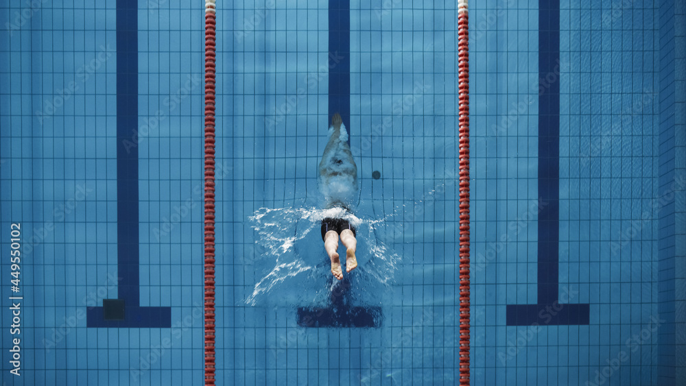 Aerial Top View Male Swimmer Jumping, Diving into Swimming Pool. Professional Athlete Winning World 