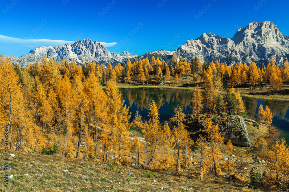 意大利多洛米蒂秋季落叶松森林中令人惊叹的联邦湖