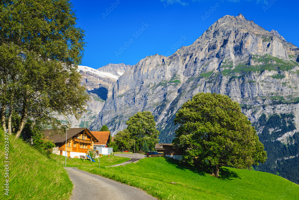 瑞士格林德瓦尔德山上的木屋和壮观的山脉