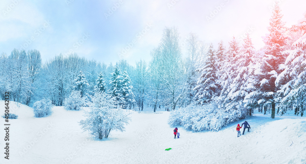 美丽的冬季景观，有雪，森林雪覆盖的冷杉树，蓝天和行走的孩子w