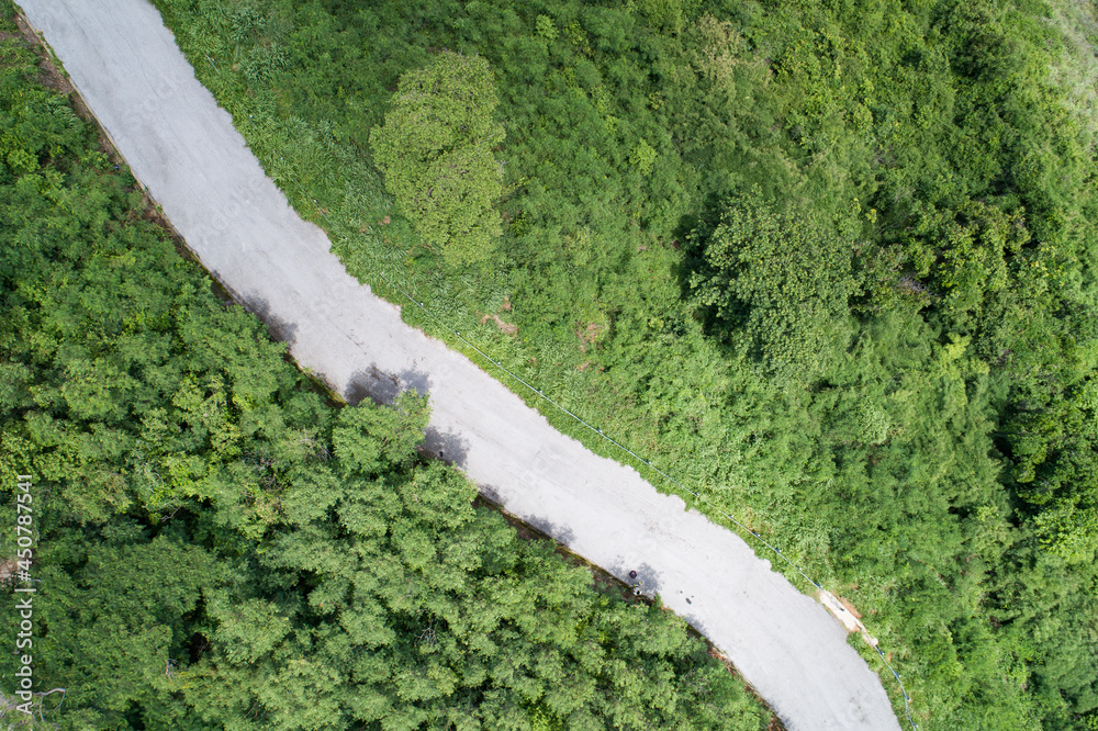 Aerial view Curve Road in the forest green summer trees Drone camera top down view Amazing landscape