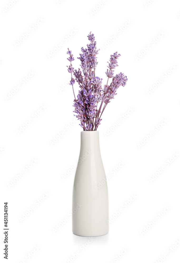 白色背景上有美丽薰衣草花的花瓶
