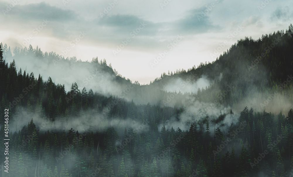 日出时被雾覆盖的森林山丘