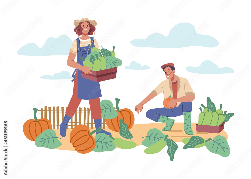 农民从田里收集南瓜和南瓜。农场里的男人和女人，拿着篮子的农民
