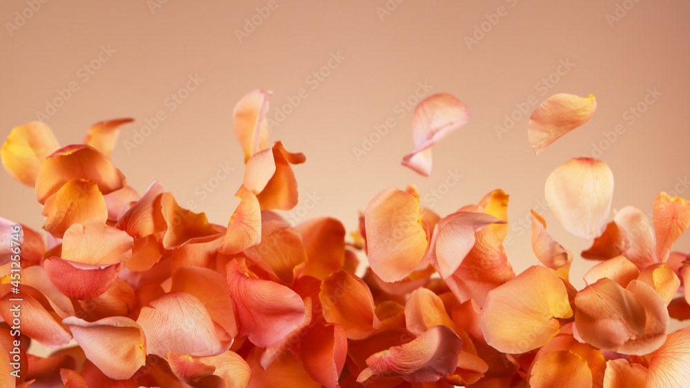 橙色背景下的玫瑰花瓣。