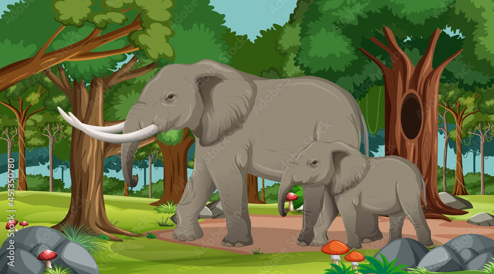 Elephant in forest or rainforest scene with many trees