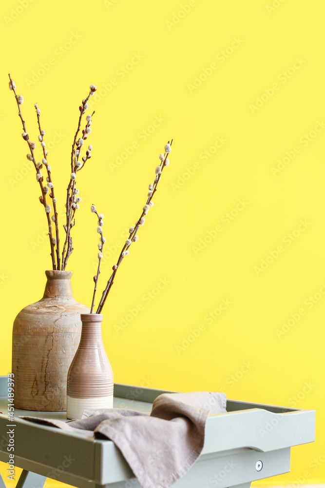 彩色背景下桌子上的柳枝花瓶