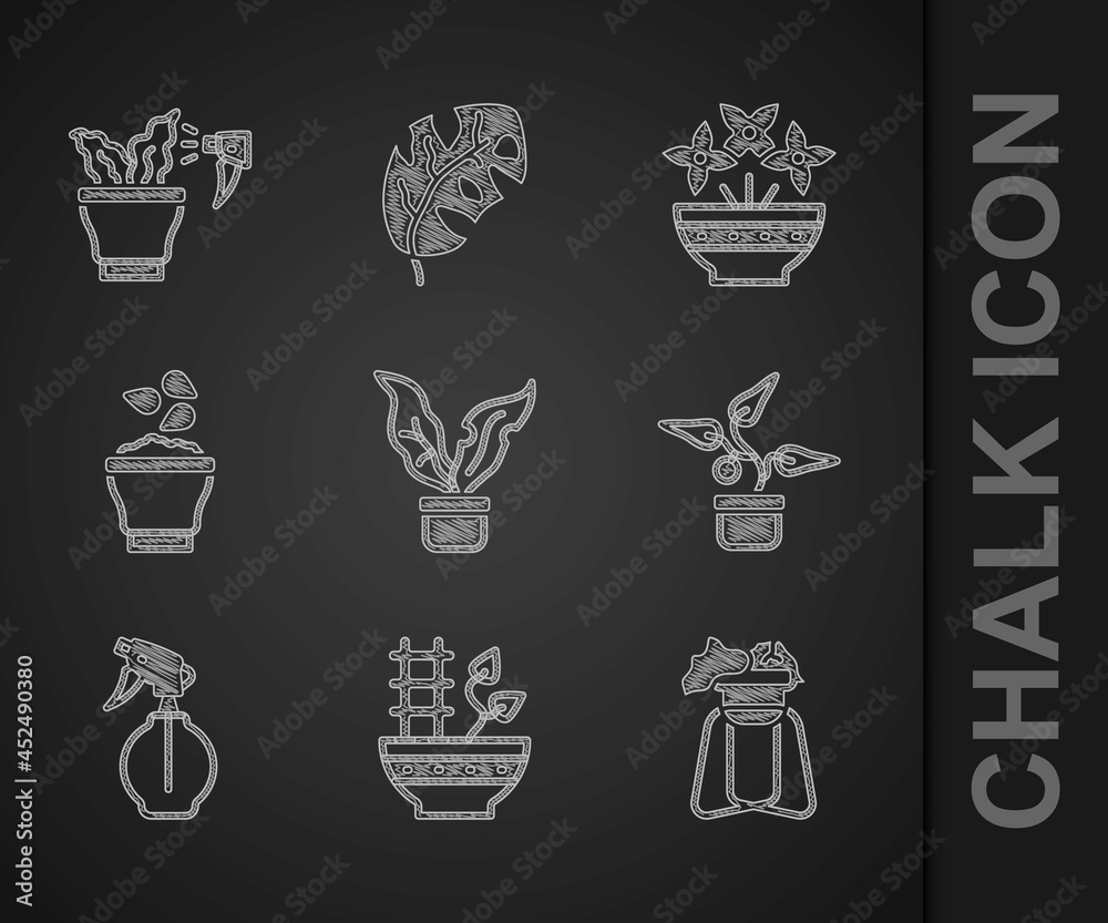 将植物放在花盆、支架、喷水瓶、种子碗、花瓶和喷雾植物图标上。Vec