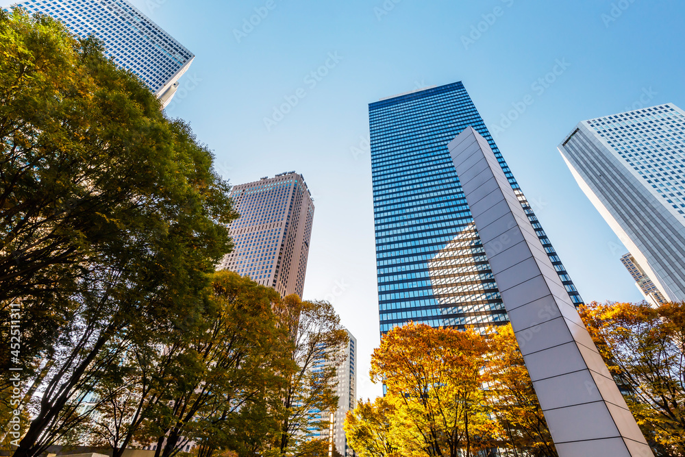 朝の太陽光に照らされた東京の高層ビル群