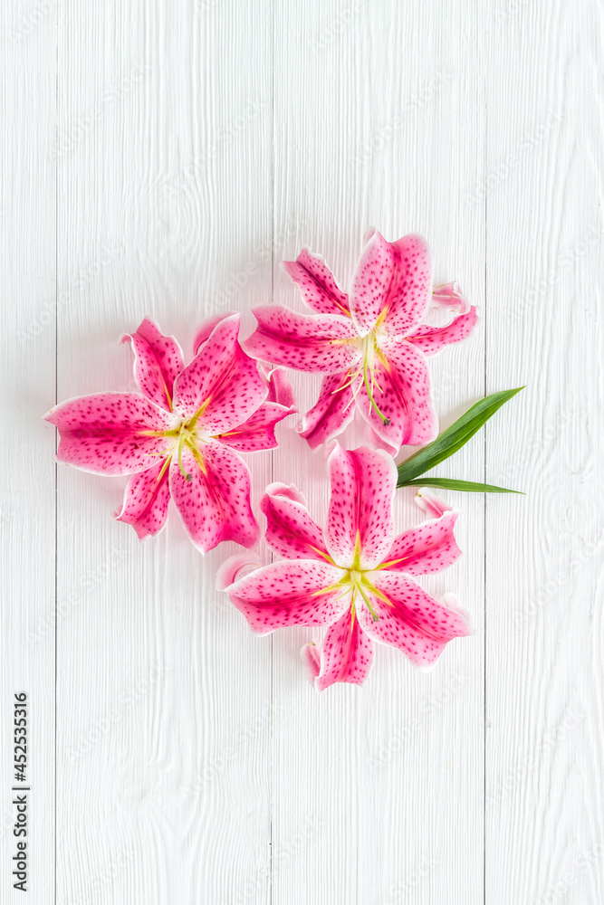 粉色百合花的花卉图案，俯视图