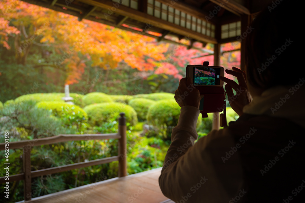 女游客在日本京都拍摄秋天的日本花园