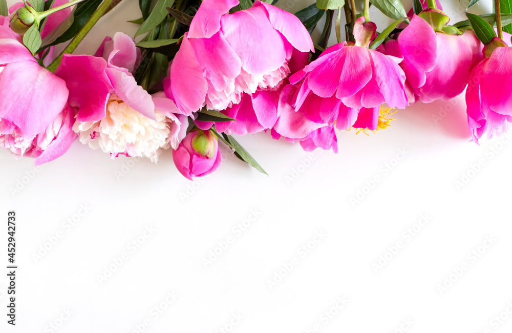 白色背景上的粉色牡丹花框架，带有用于问候信息的复制空间。春花