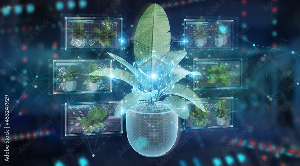 在蓝色背景下进行数字分析的植物全息投影3D渲染