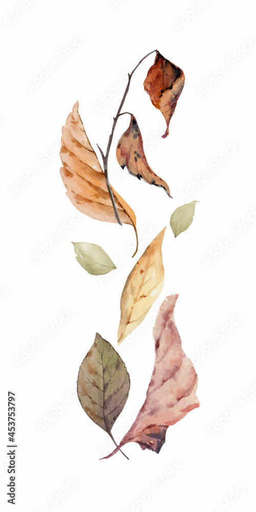 白色背景上有落叶和树枝的水彩矢量卡。