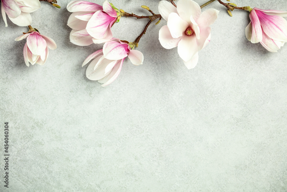 灰石背景上的春玉兰花