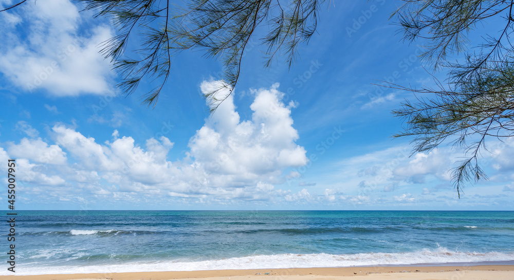 树叶与夏日海滩融为一体令人惊叹的大海清澈的蓝天和白云海浪拍打着沙滩