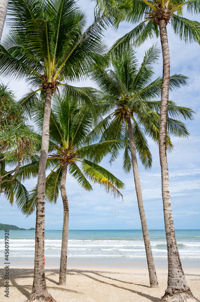 普吉岛芭东海滩芭东海滩周围有棕榈树的夏季海滩泰国普吉岛Bea