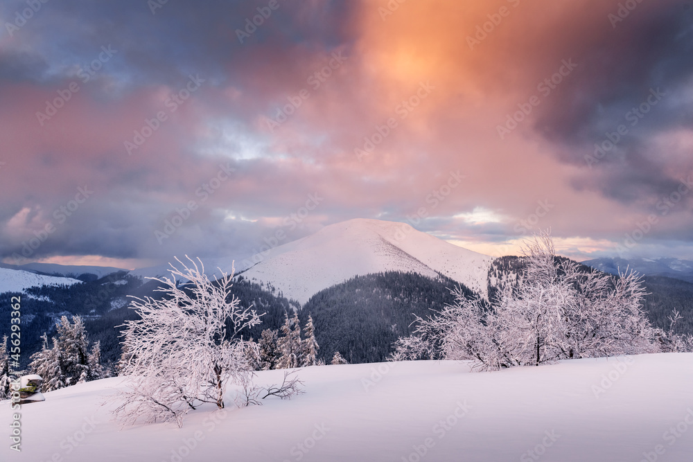 夜晚阳光照耀下的雪山中的奇妙冬季景观。戏剧性的冬季场景智慧