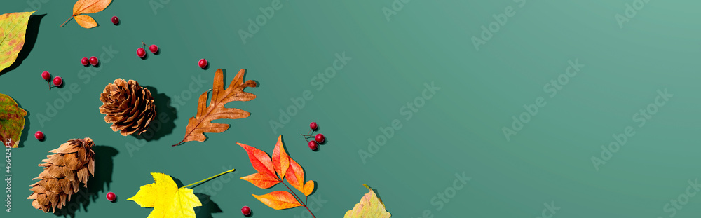 七彩秋叶，松果俯视-平躺